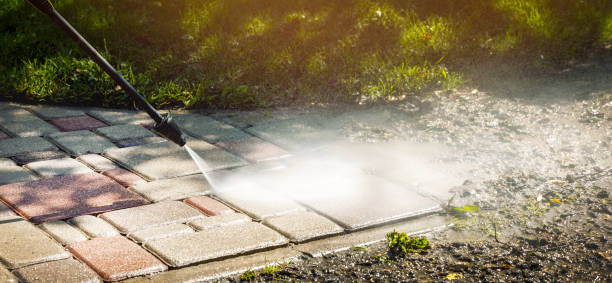 Spring Cleaning in Lake Shastina, CA
