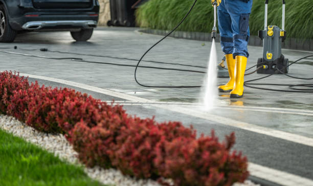 Professional  Pressure Washing Services in Lake Shastina, CA